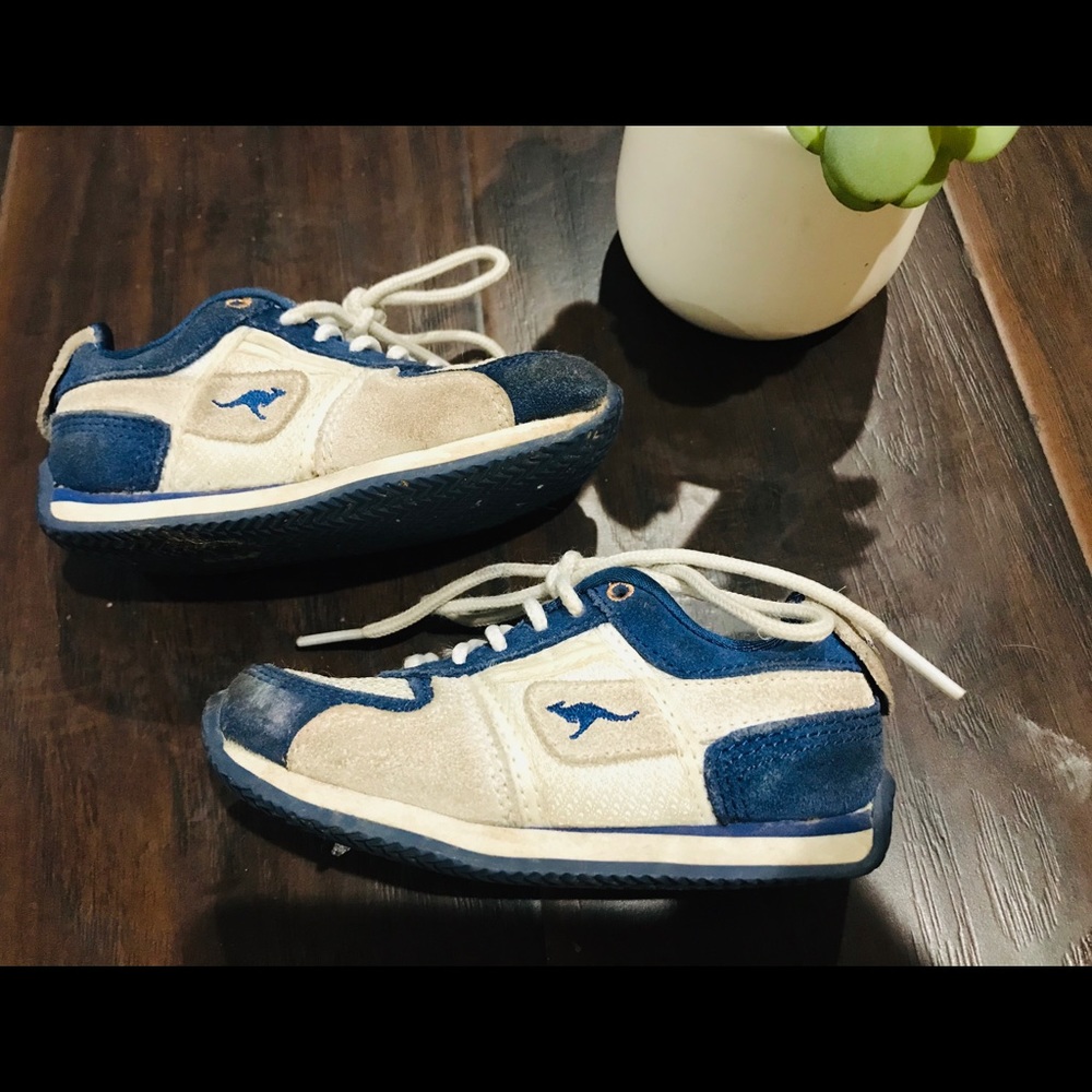 🦘Kangaroos🦘